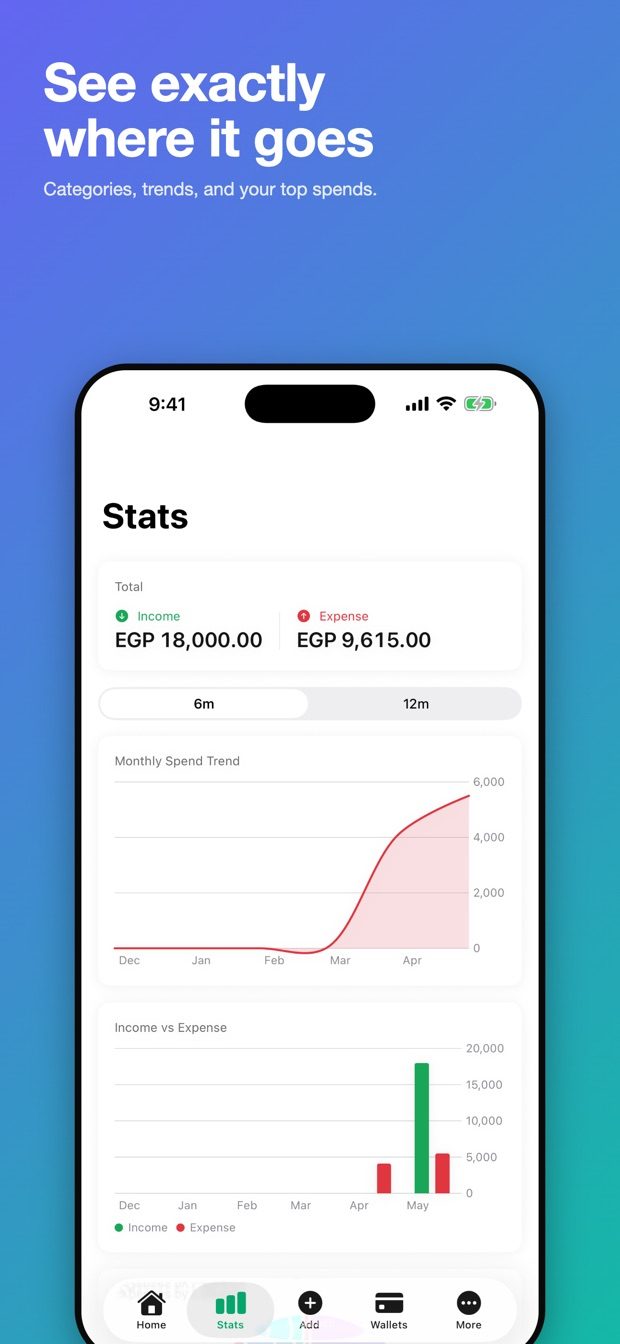 Masareefi app — spending statistics